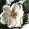 6ft. North Valley Spruce Magnolia Flower Garland